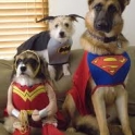 Puppy Justice League