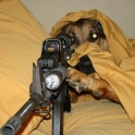 Sniper Dog can see you