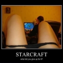 StarCraft What did you give up for it