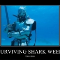 Surviving Shark Week Like A Boss2