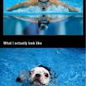 What I think I look like swim fail