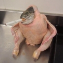 What its a smoking Chicken Fish Havent you seen one before2