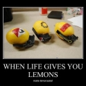 When Life Gives You Lemons2