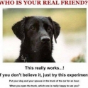 Whos is your real friend