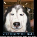 You Threw The Ball2