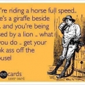Youre riding a horse full speed....