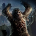 ZombieWookiee
