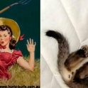 cats that look like pin up girls 15