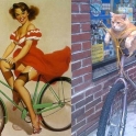 cats that look like pin up girls 7