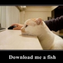 download me a fish