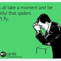 thankful that spiders do not fly
