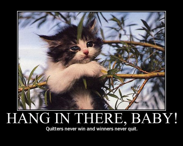 hang in there cat clipart - photo #21