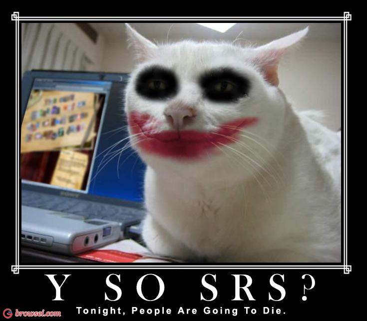 http://imghumour.com/assets/Uploads/why-so-serious-cat.jpg