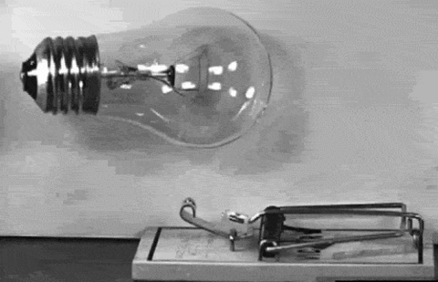 A light bulb falling on a mouse trap