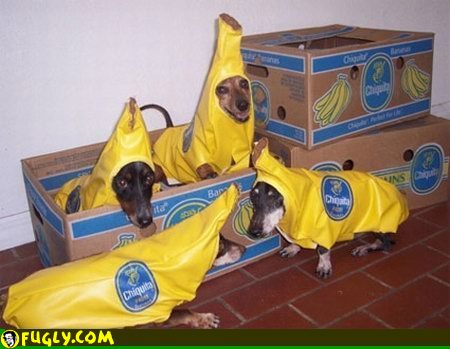 Bananna Dogs