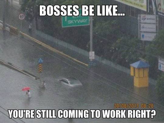 Bosses be like... Your still coming to work right