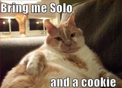 Bring me Solo and a cookie
