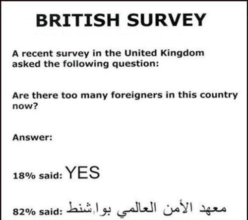 British Survey