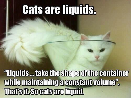Cats are liquids