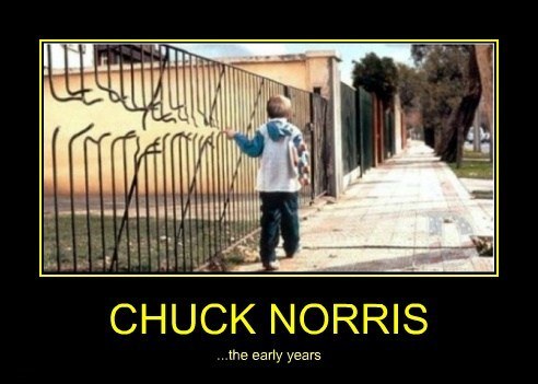 Chuck Norris The Early Years