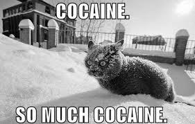Cocaine so much cocaine