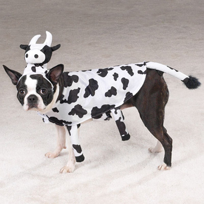 Cow Dog