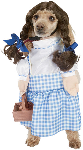Dorothy Outfit
