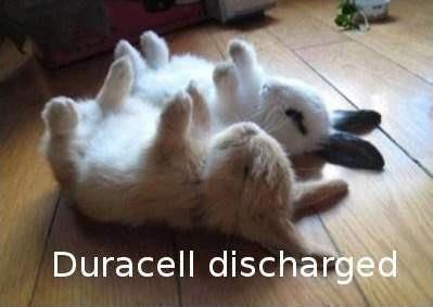 Duracell Discharge