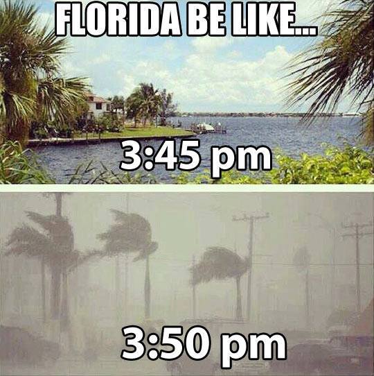 Florida be like....