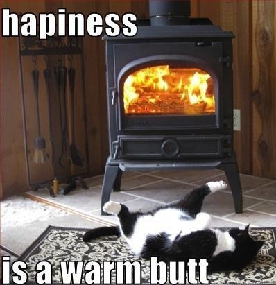 Happiness is a warm butt