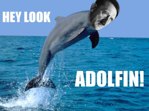 Hay Look Adolfin