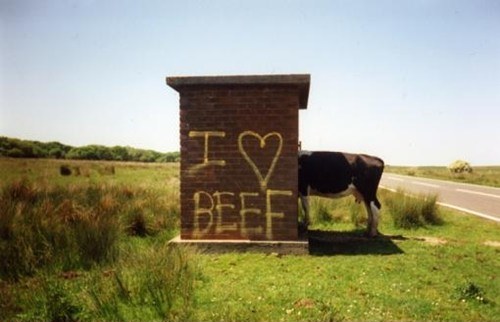 I Love Beef