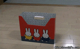 I WILL FIT IN THIS BOX I WILL FIT IN THIS..oh2