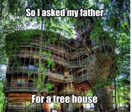 I asked my father for a tree house..