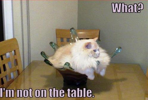 Im not on the table