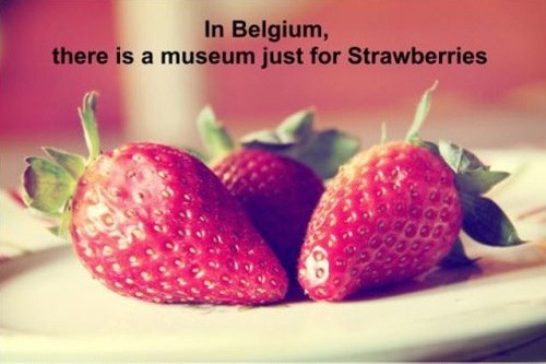 In Belgium there is a museum just for Strawberries