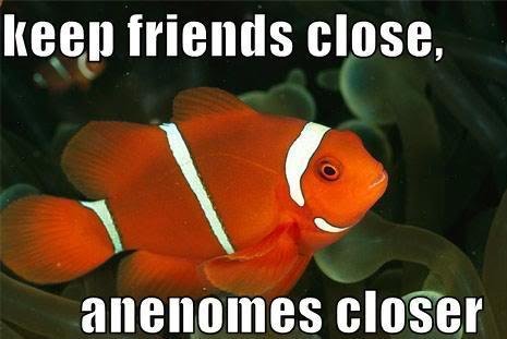 Keep Friends Close Anenomes Closer