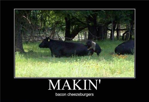 Makin Bacon Cheezebugers