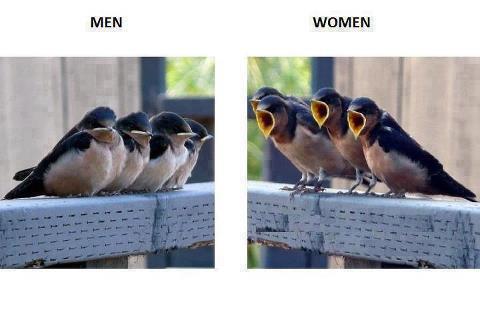 Men And Women