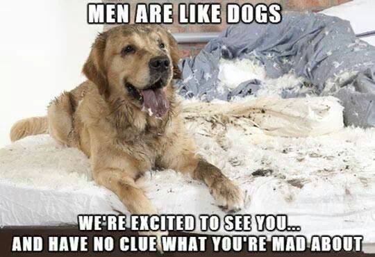 Men are like dogs