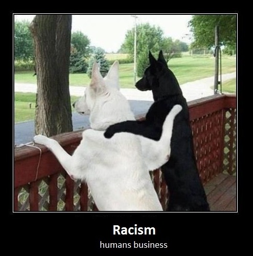 Racism is Humans Business