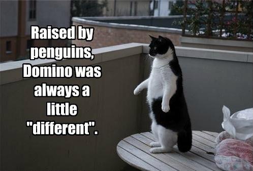 Raised by penguins