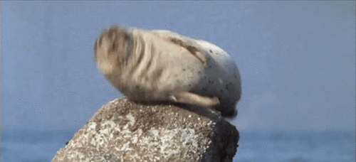 Seal with Hiccups
