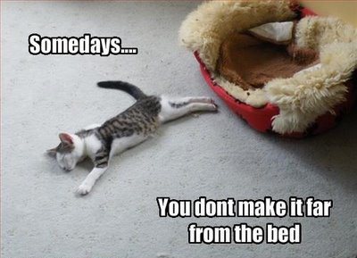 Someday... You dont make it far from the bed