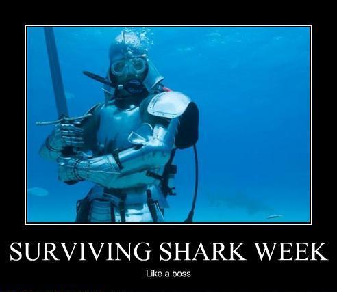Surviving Shark Week Like A Boss