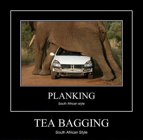 Tea Bagging