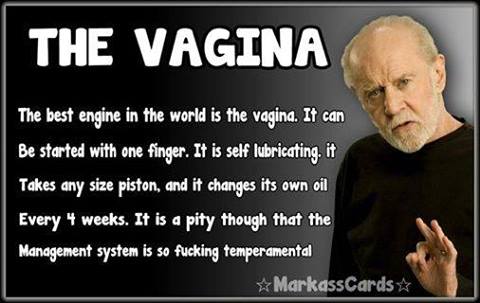 The Vagina