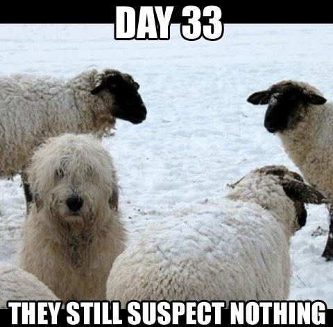 They still suspect nothing
