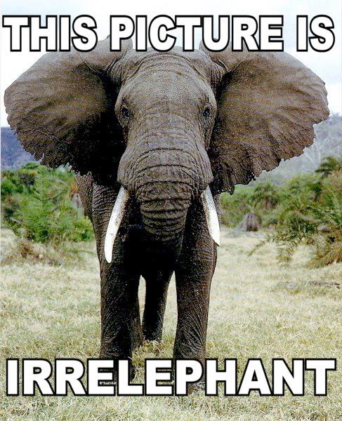 This Picture is Irrelephant