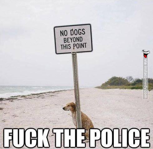 This dog breaks da rules